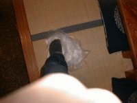丈夫なビニール等に入れ、かかとで踏み延ばしていく。5回、6回と延ばしては丸めて踏む。