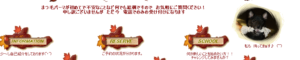 �����@�҂��Ă܂�����@(^^)