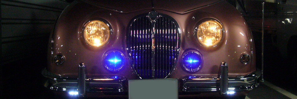 Mitsuoka Viewt