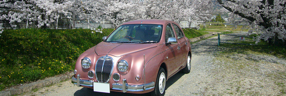 Mitsuoka Viewt