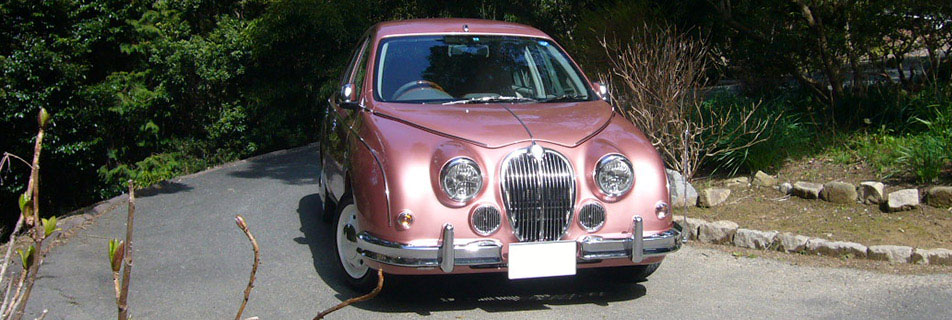 Mitsuoka Viewt