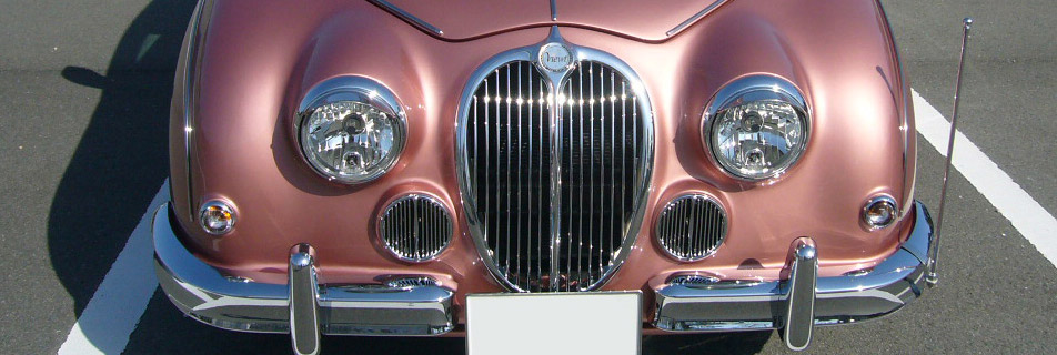 Mitsuoka Viewt
