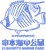 串本海中公園スタンプ