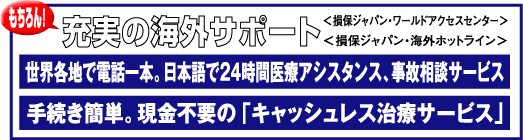 �[���̊C�O�T�|�[�g