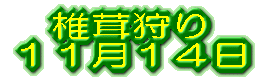 �ő����@�P�P���P�S��
