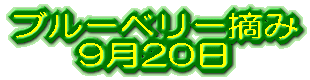 �u���[�x���[�E�� 9��20��