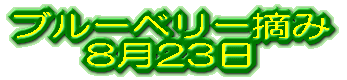 �u���[�x���[�E�� 8��23��