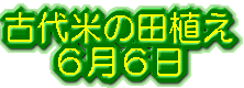 �叼���� 12��6��
