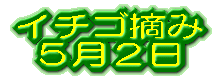 �叼���� 12��6��