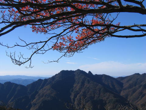 ��������茩�����x