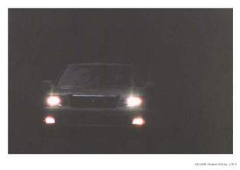 photo9.jpg
