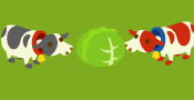 cabbage.png