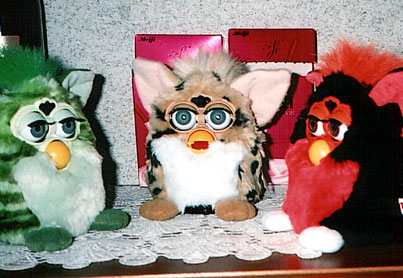 Furby in My House