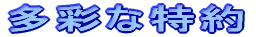 ���ʂȓ���