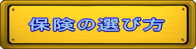 �ی��̑I�ѕ�