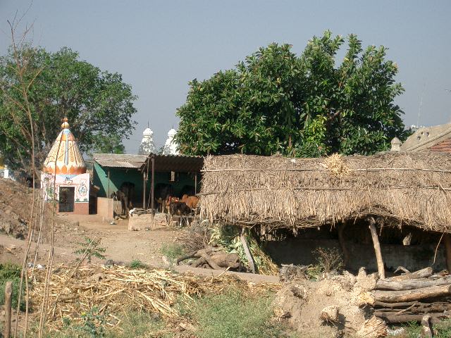 CIMG0171.JPG