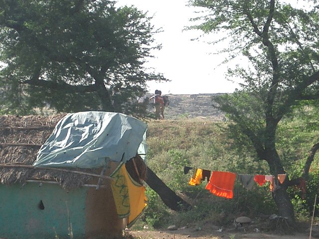 CIMG0174.JPG