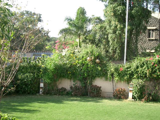 CIMG0182.JPG