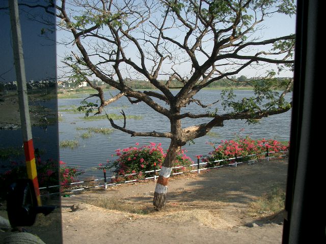 CIMG0184.JPG