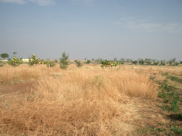 CIMG0210.JPG