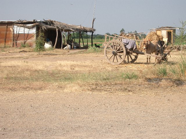 CIMG0218.JPG