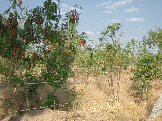 CIMG0223.JPG