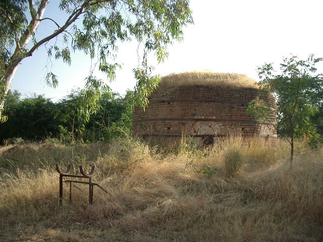 CIMG0230.JPG