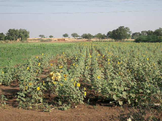 CIMG0231.JPG