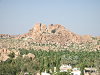 CIMG0254_thumb.png