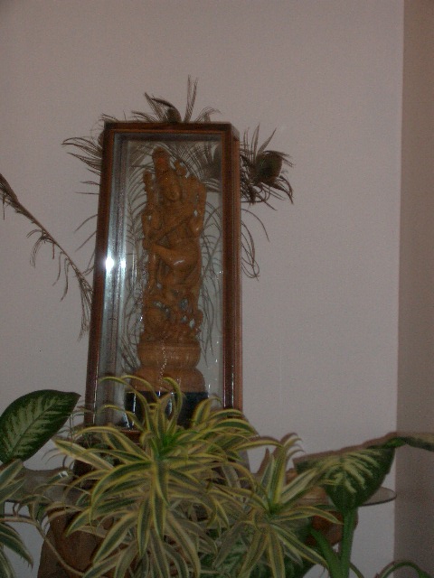 CIMG0325.JPG