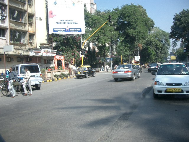 CIMG0342.JPG