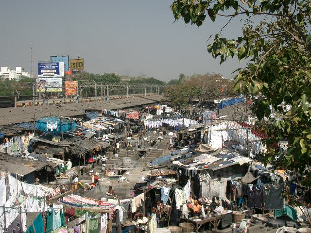 CIMG0348.JPG