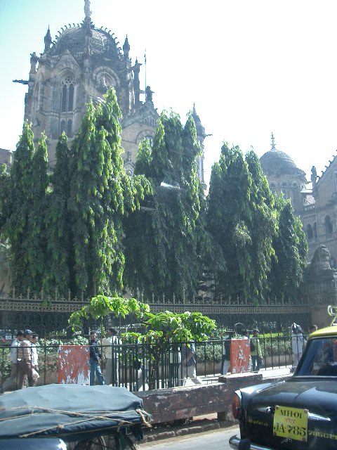 CIMG0357.JPG