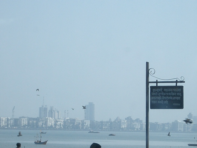 CIMG0384.JPG