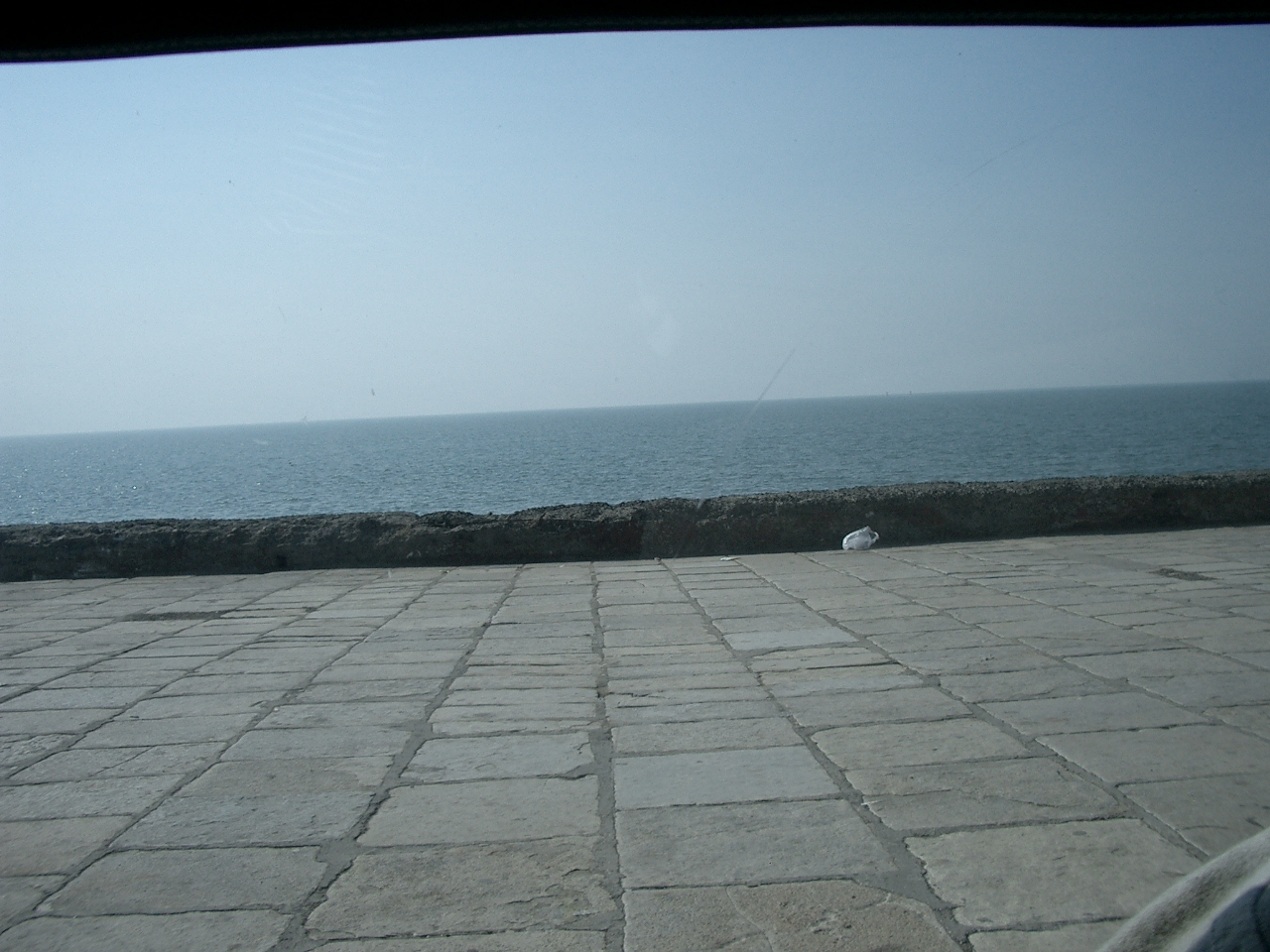 CIMG0387.JPG