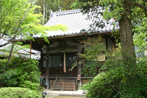 FR莛