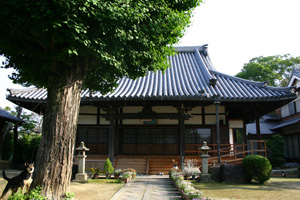 Rʎ