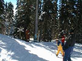 チルドレンズアドベンチャーコース