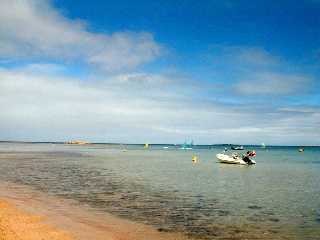 �A���o�X�^�p