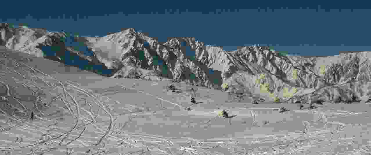 �W�]���t�g���~���