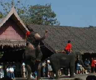 ローズガーデン