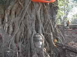 �A���^��