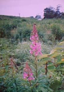 ���i�M����