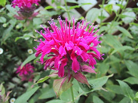 ���i���_