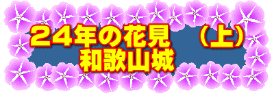 ２４年の花見　（上） 　　和歌山城