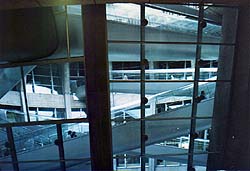 �h�S�[����`�G�X�J���[�^