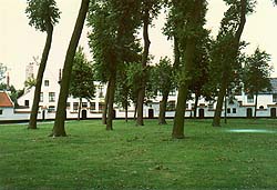 �x�M���C���@