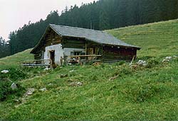 �n�C�W�̉�