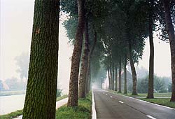 �t�����_�[�X����H�̍��͐�