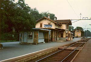 �}�C�G���t�F���g�w��